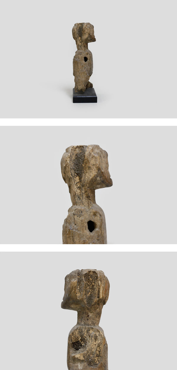 アダン族 てろてろのプーリー f_022