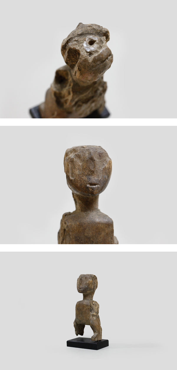 アダン族 てろてろのプーリー f_022