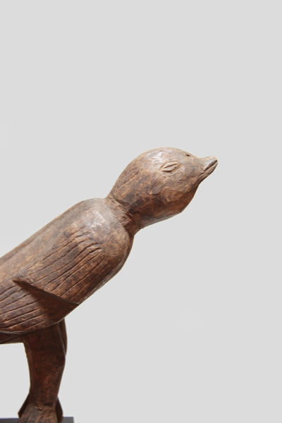 ロビ族 トコトコ歩きだしそうな鳥像 f_072