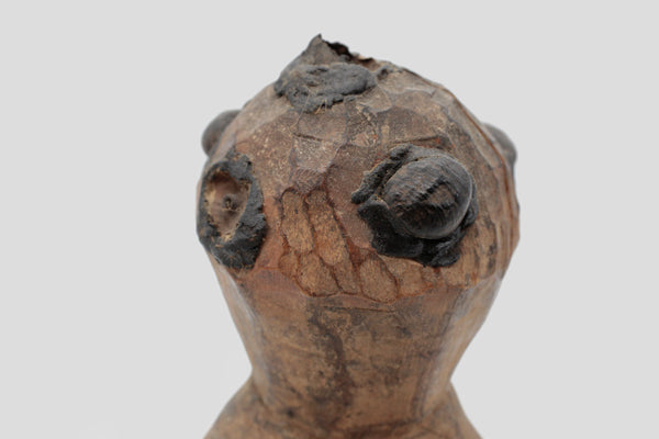 セヌフォ族 黒い目がたくさんある木像 f_115