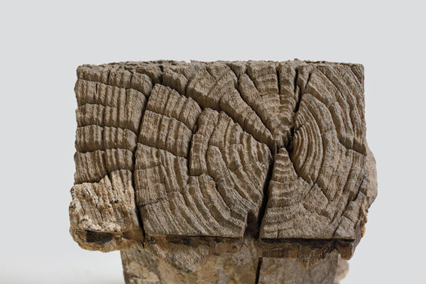 マハファリ族 小屋の墓標 f_121