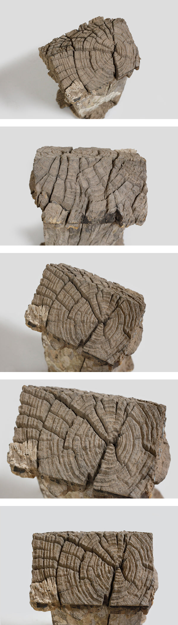 マハファリ族 小屋の墓標 f_121