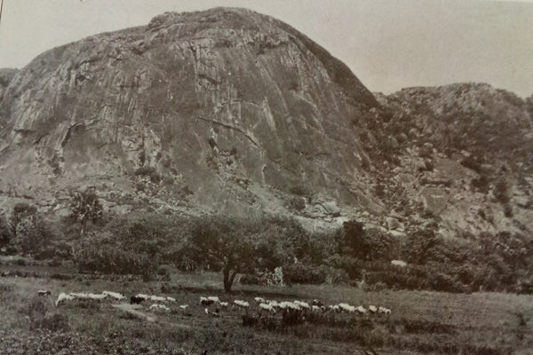 グバリ族 土偶の木像 f_124