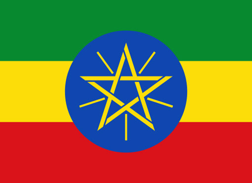 エチオピア ユダのライオンが描かれたコップ o_072