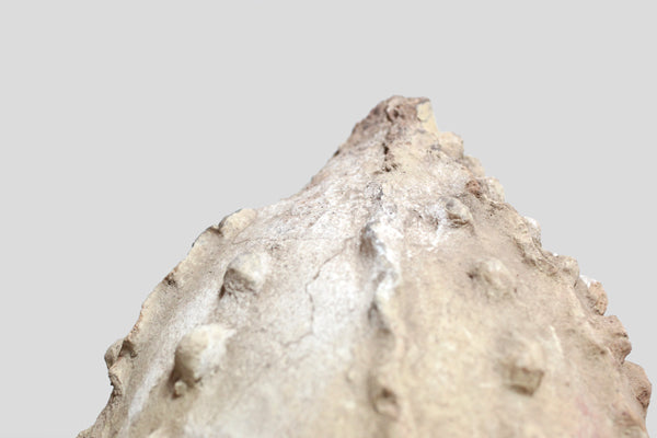 マリ共和国 蛇のデザインのある壺 o_124