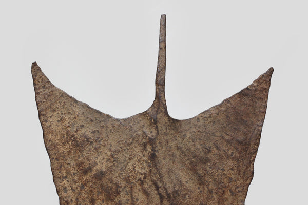 マンビラ族 花嫁に贈られる貨幣 o_152