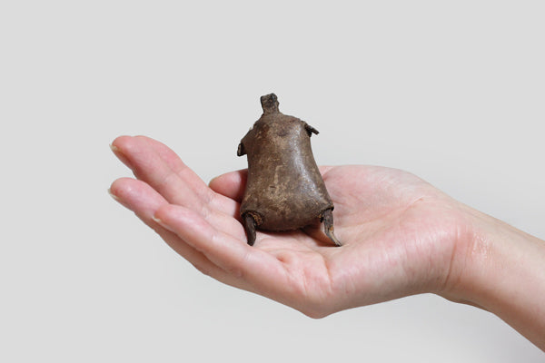 ファリ族 小さなお人形1 o_165_1