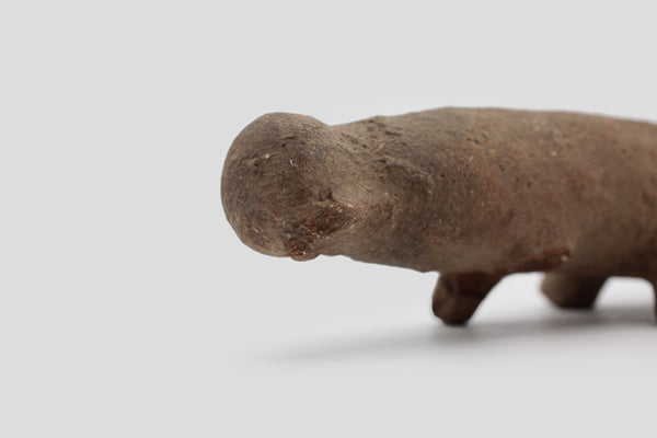 サオ族 先祖を思うトカゲの姿 o_174