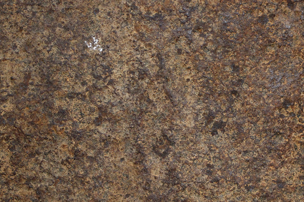 マンビラ族 The Perfect Form 1 o_194