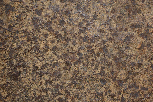 マンビラ族 The Perfect Form 1 o_194