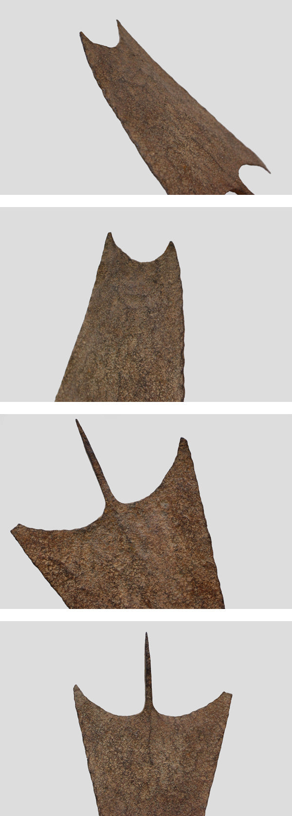 マンビラ族 The Perfect Form 2 o_195