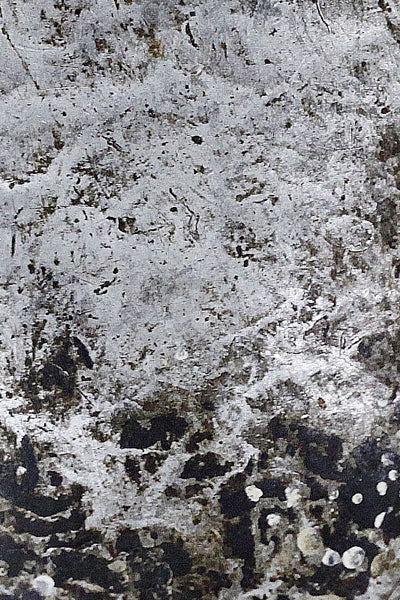 ルヴァレ族 いびつなスプーン o_196