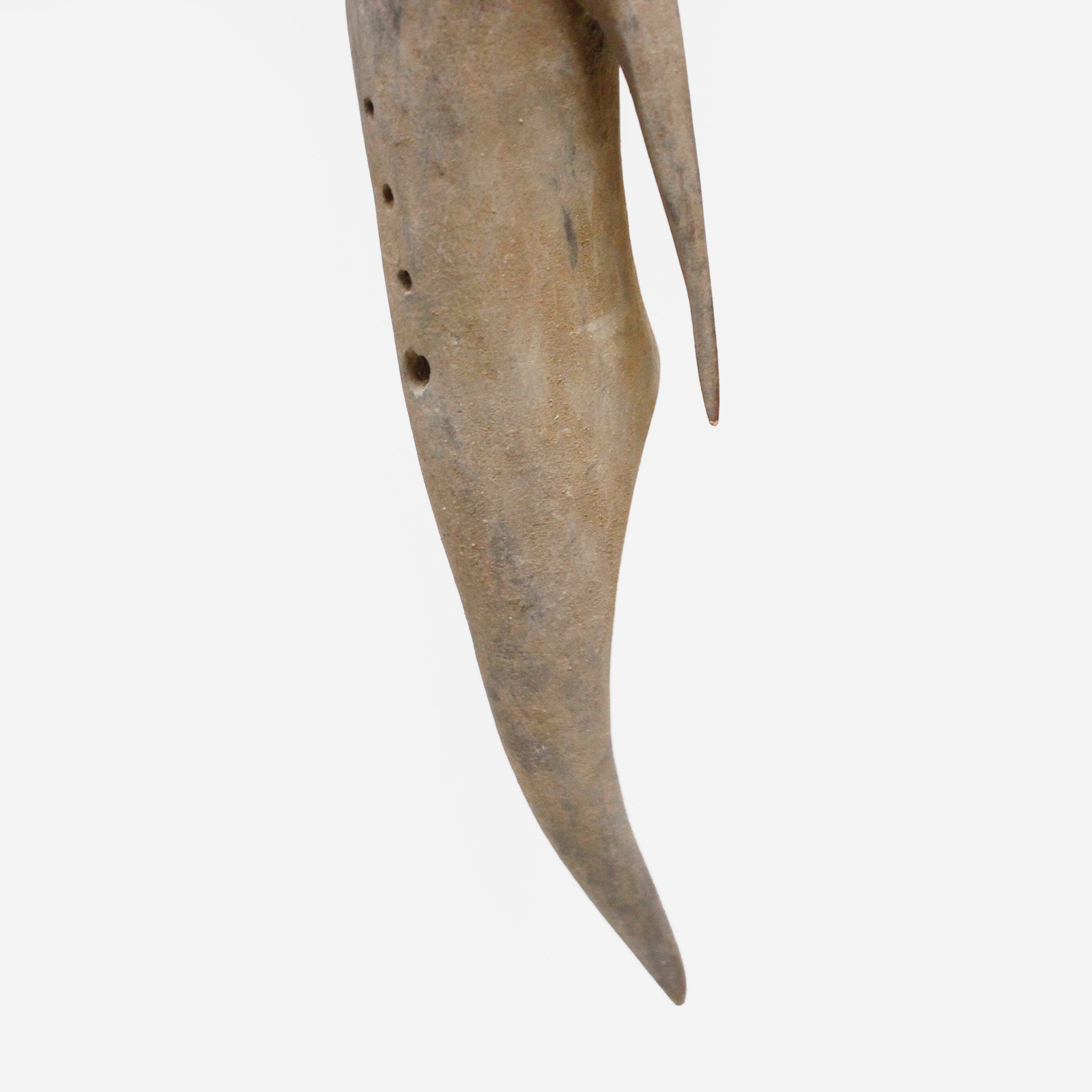 ガーナ　プランプラン　f_152