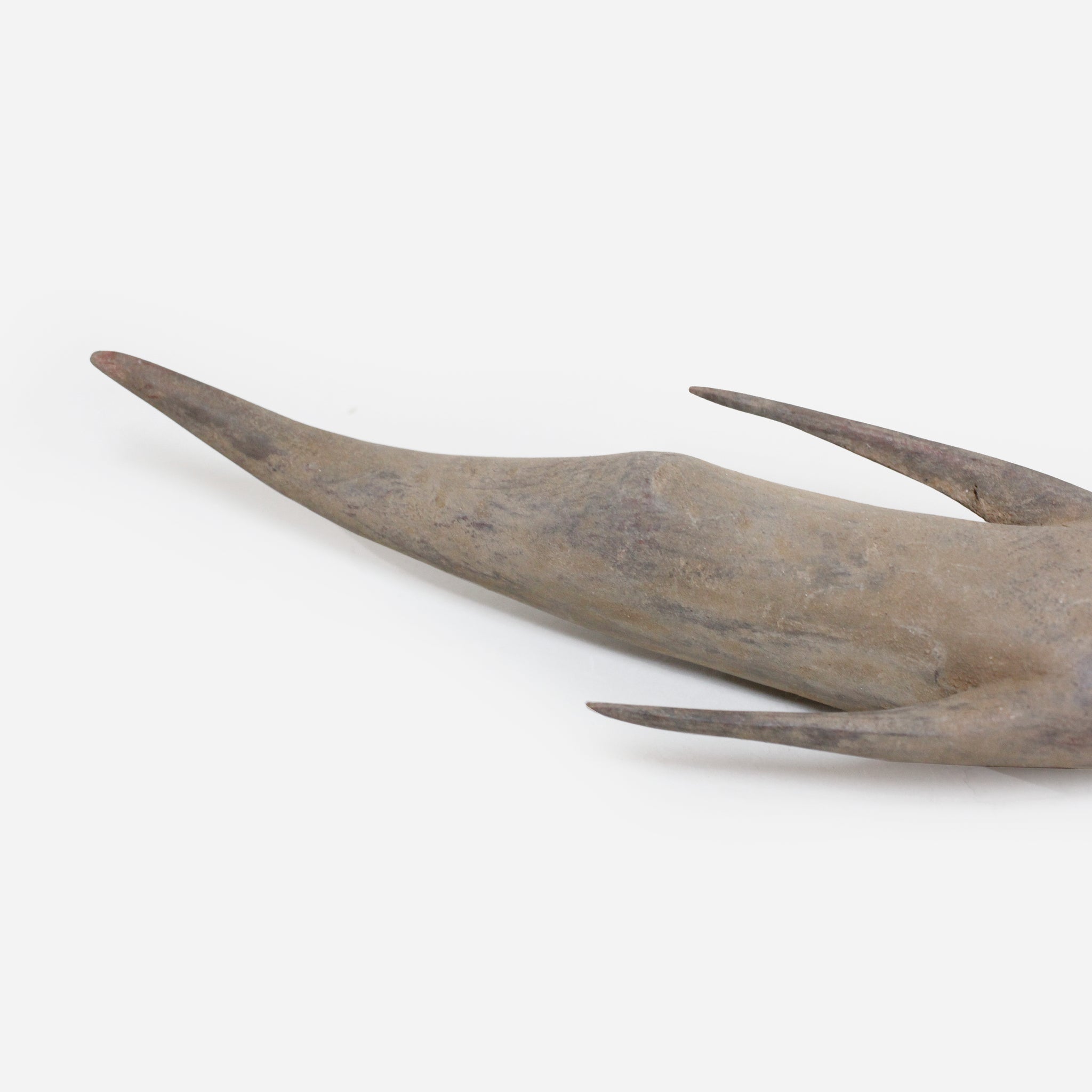 ガーナ　プランプラン　f_152