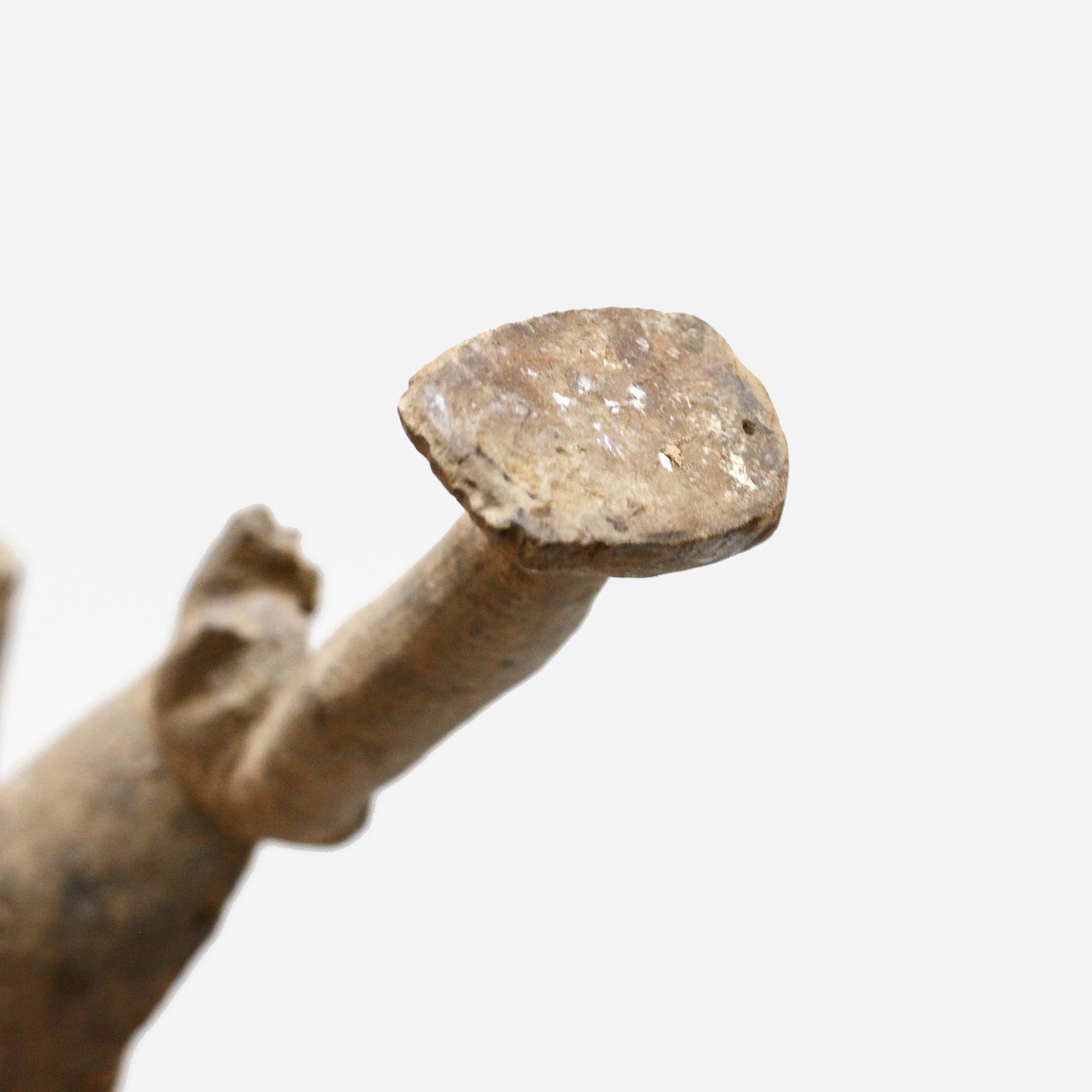 ロビ　アクション像　f_153