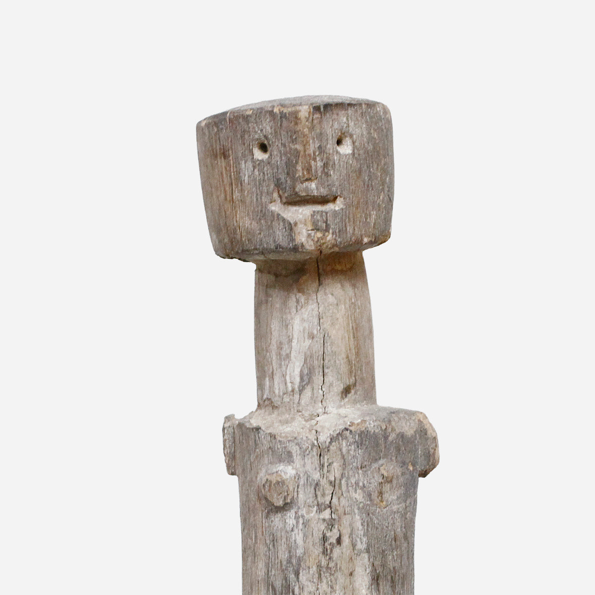 （特別価格）アダン　仲介者　f_154