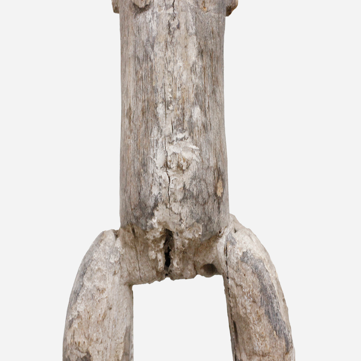 （特別価格）アダン　仲介者　f_154