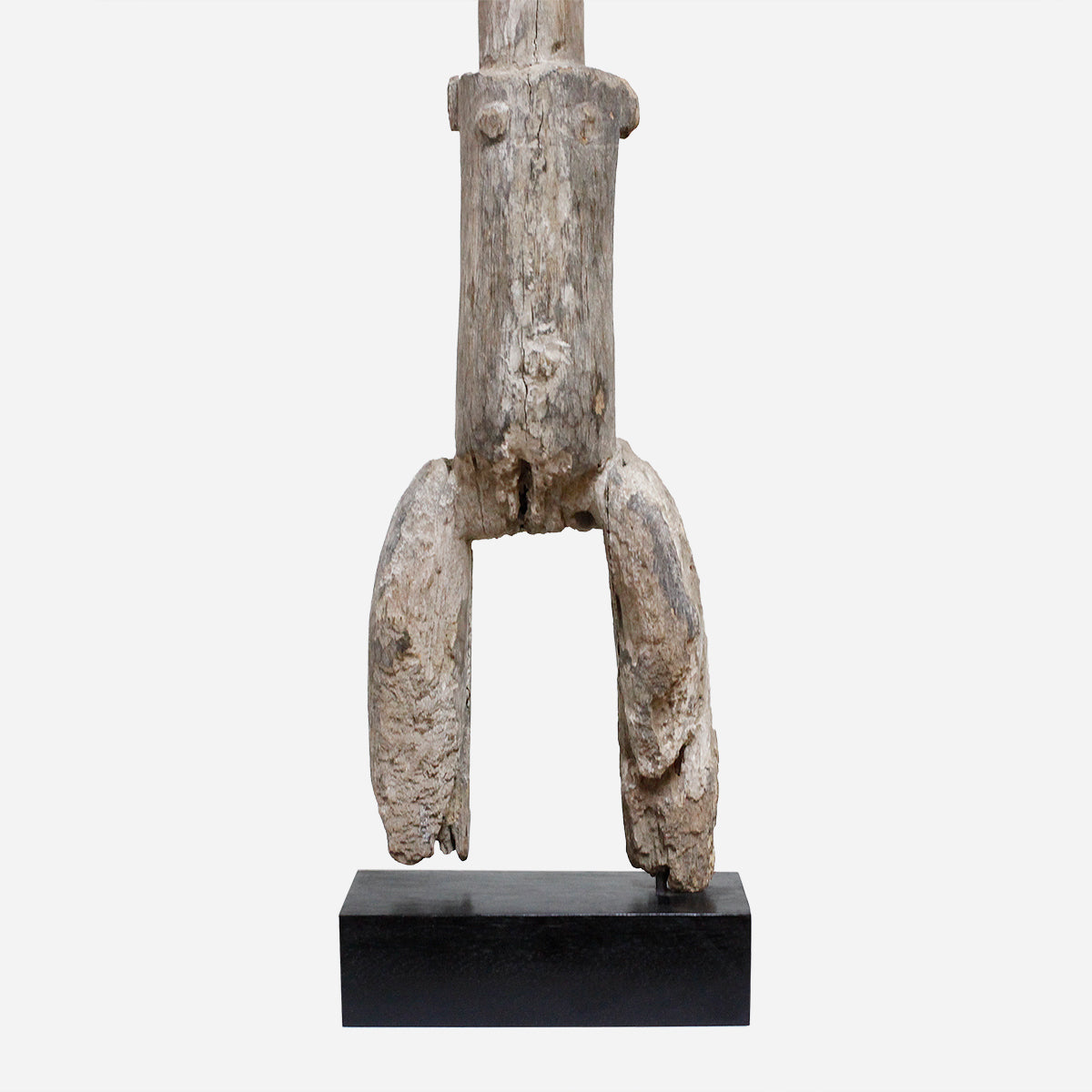 （特別価格）アダン　仲介者　f_154