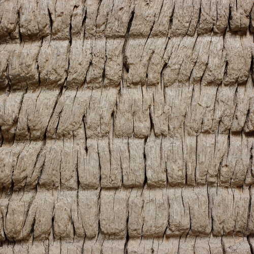 バウレ族　ジグザグの洗濯板　o_149