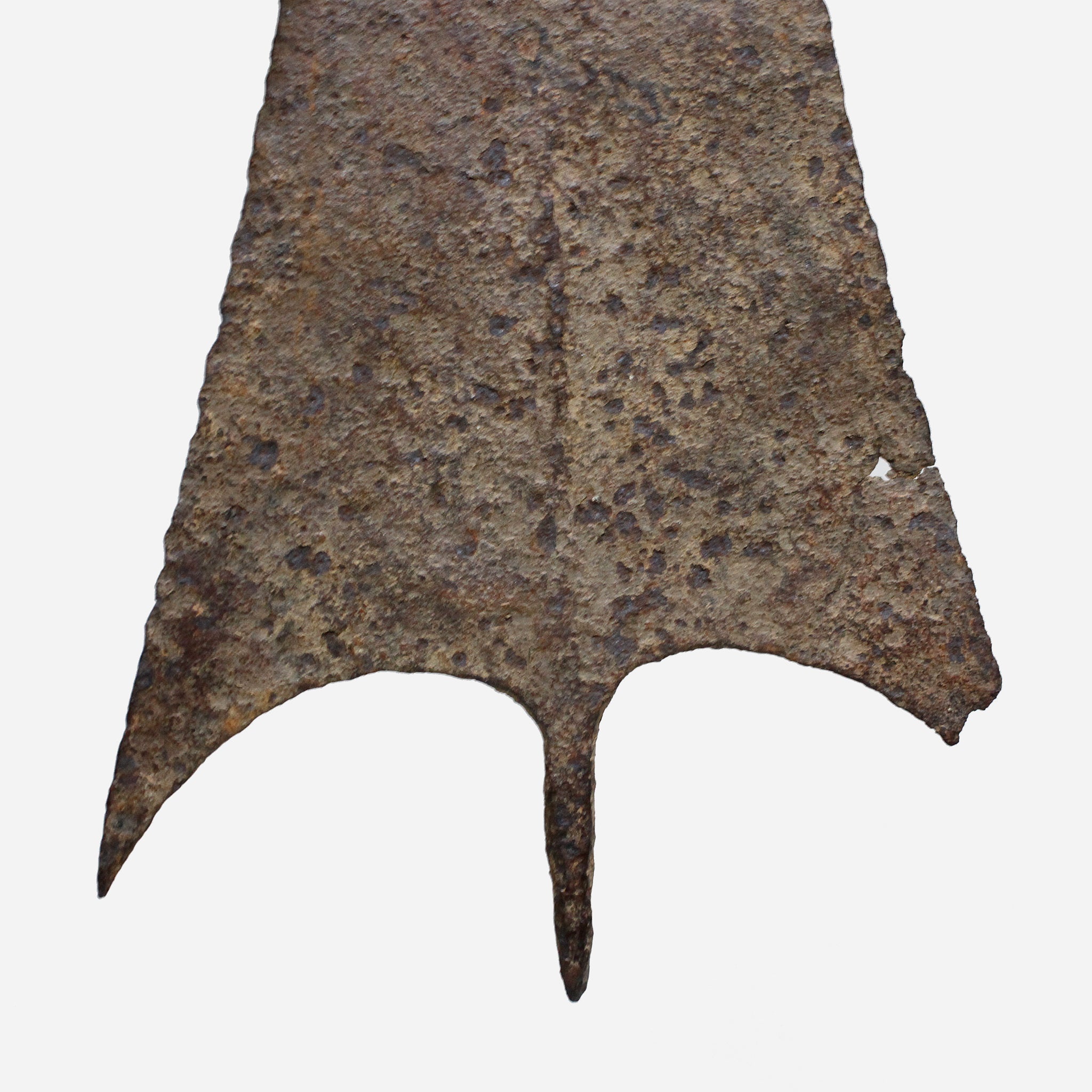 マンビラ　The Perfect Form　o_213