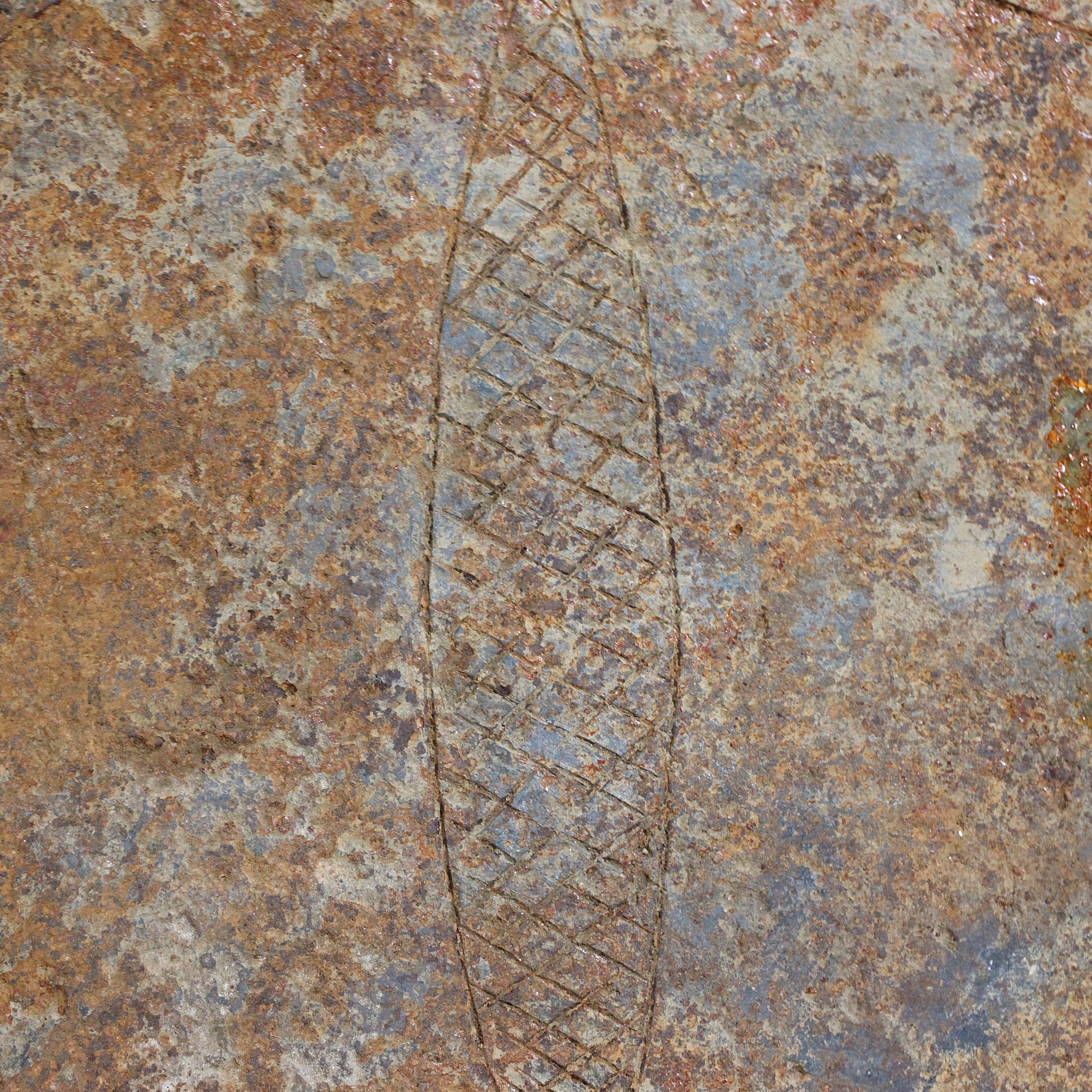 チャンバ　貨幣＆うちわ　o_216