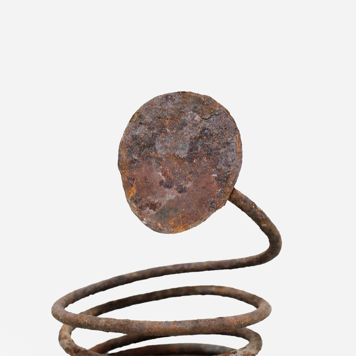 イグボ　コイルのマニラ　o_247