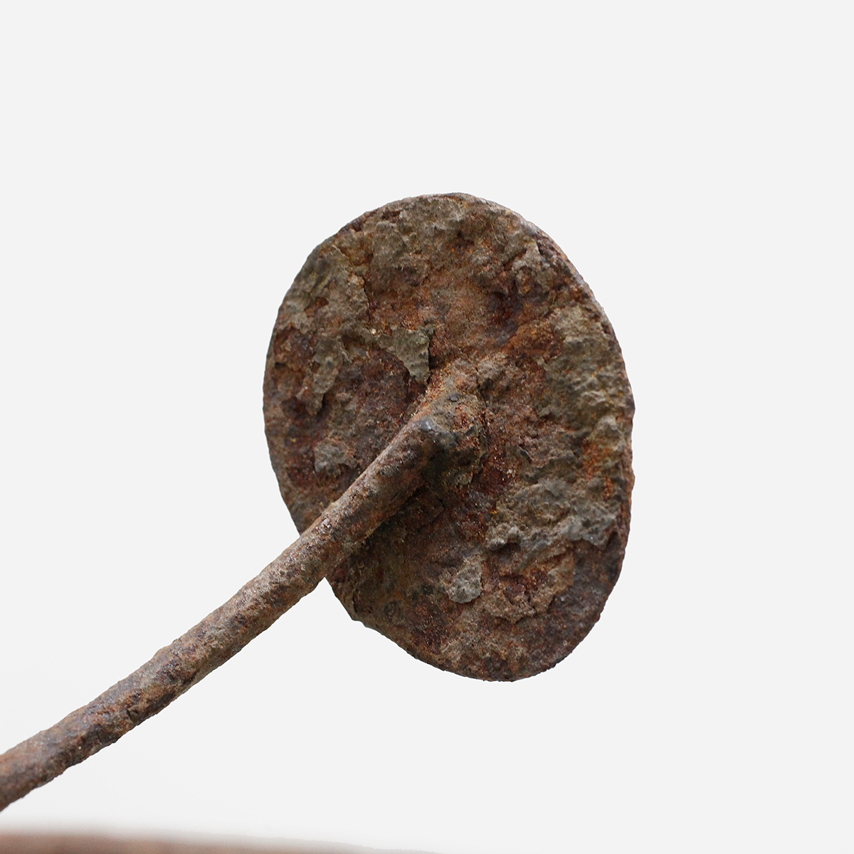 イグボ　コイルのマニラ　o_247