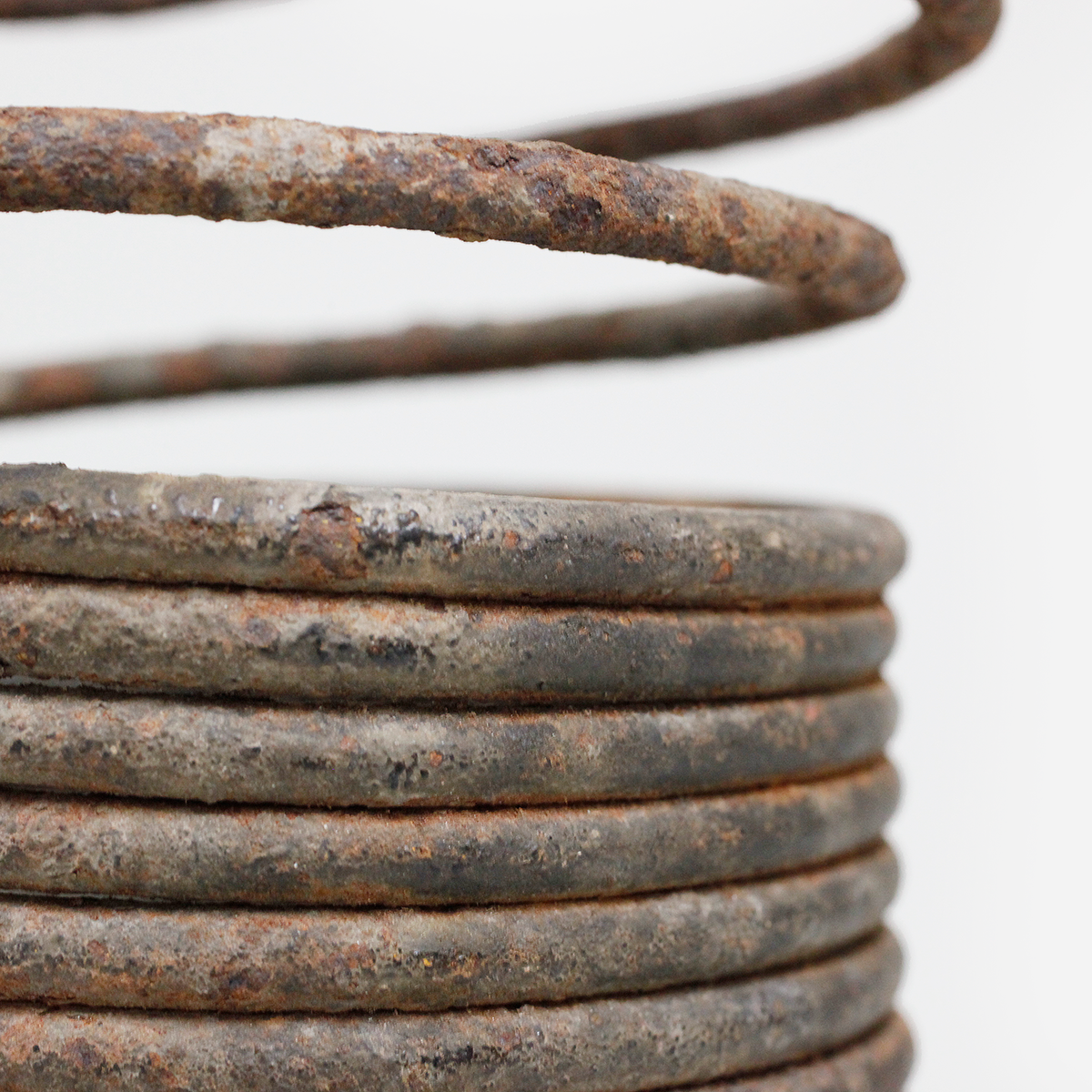 イグボ　コイルのマニラ　o_247