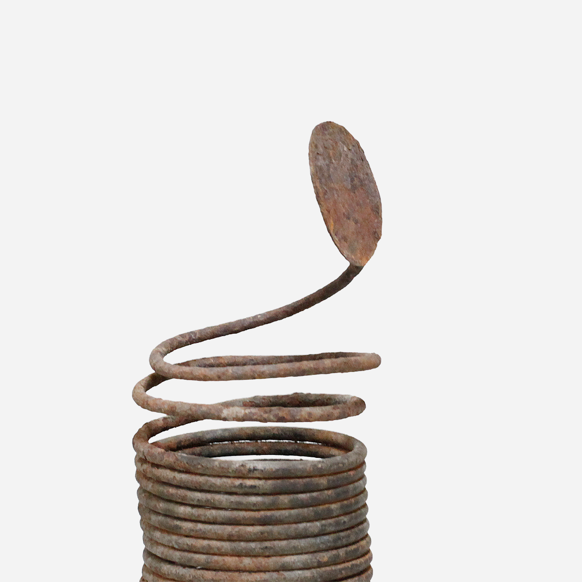 イグボ　コイルのマニラ　o_247