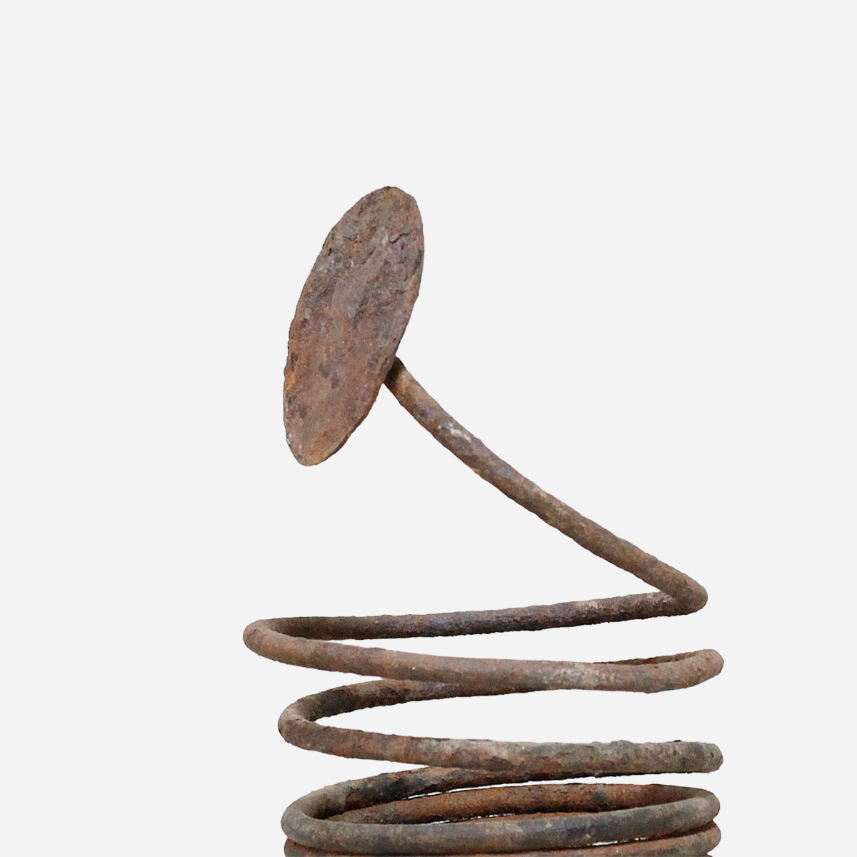 イグボ　コイルのマニラ　o_247