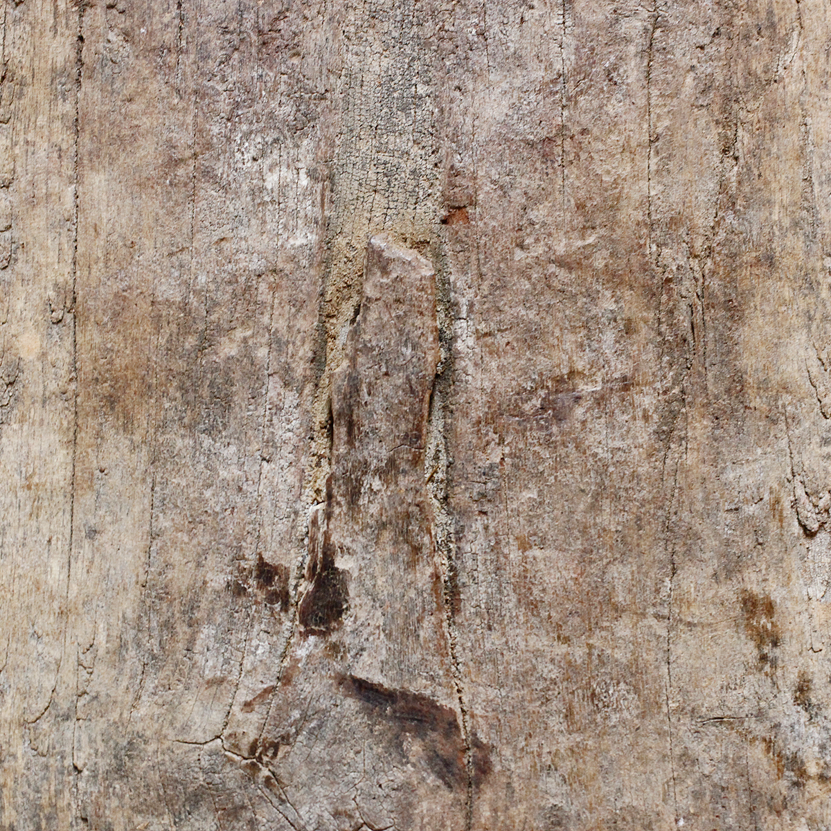 バウレ　洗濯板　o_248