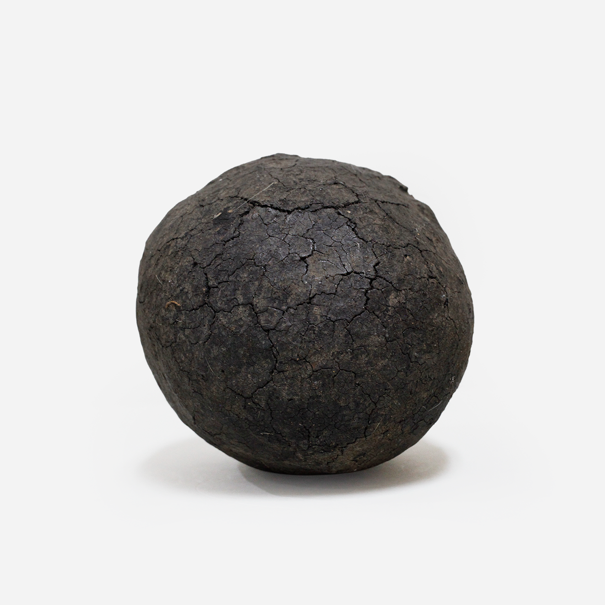 TRON　Bangle　o_255