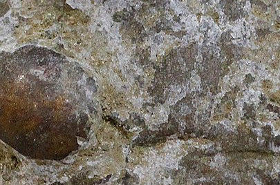 クランゴ族　異形の座像　o_183