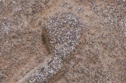 西アフリカ　蛇の石像　o_190