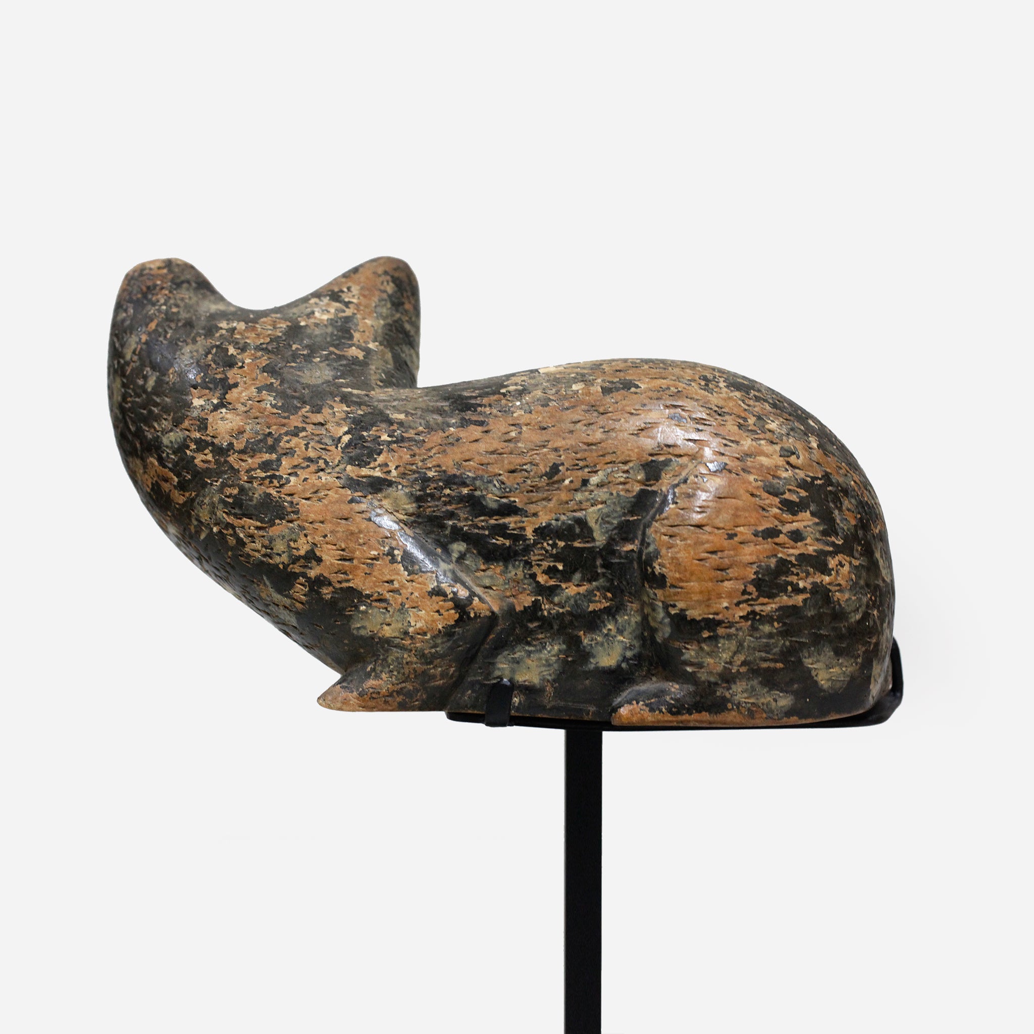 バウレ　族長の猫　f_131