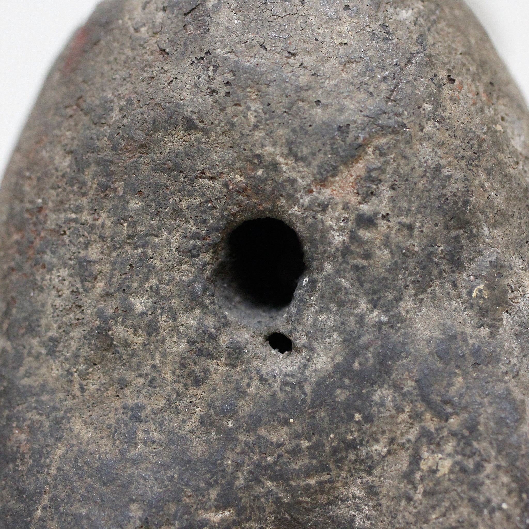 パレ　Zoomorphic Zigua　o_205