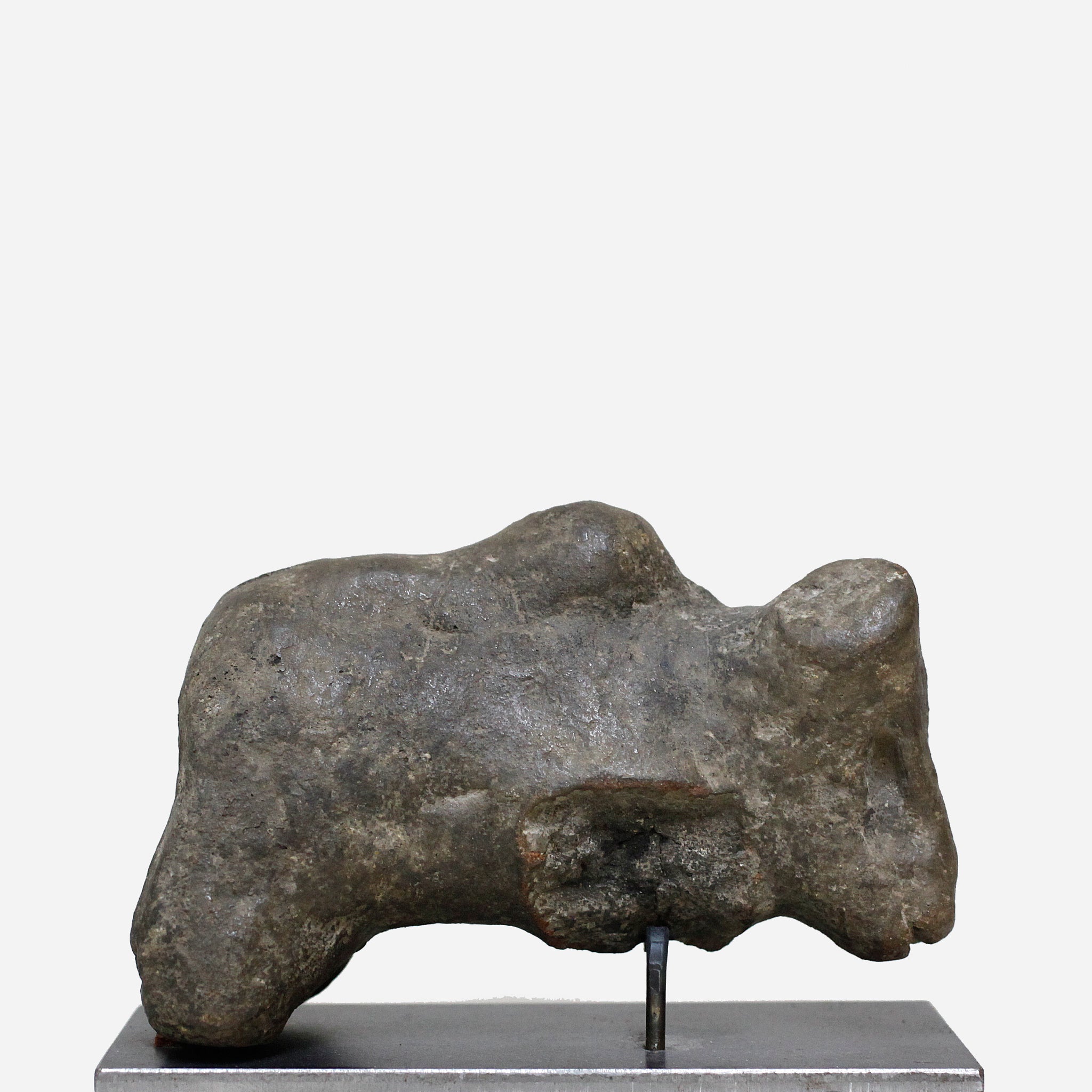 パレ　Zoomorphic Zigua　o_205