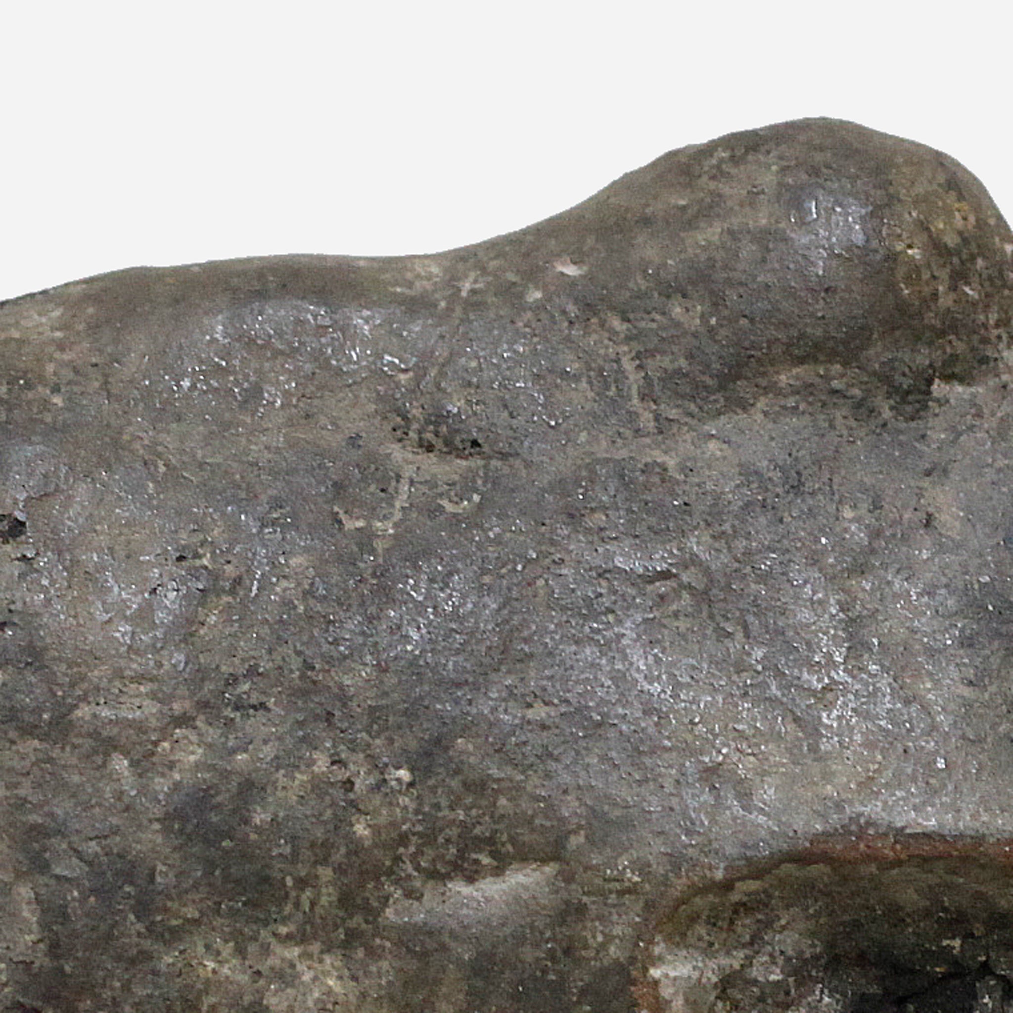 パレ　Zoomorphic Zigua　o_205