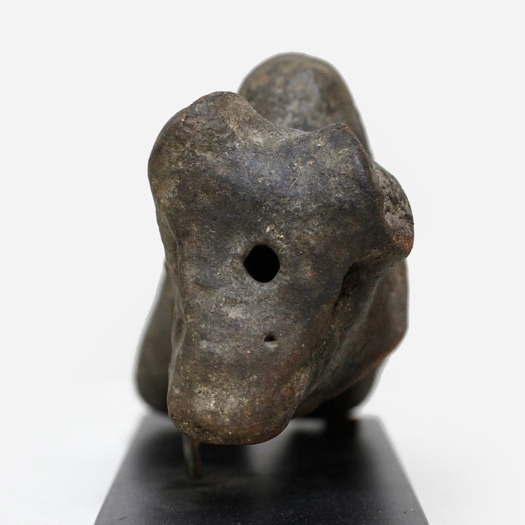 パレ　Zoomorphic Zigua　o_205