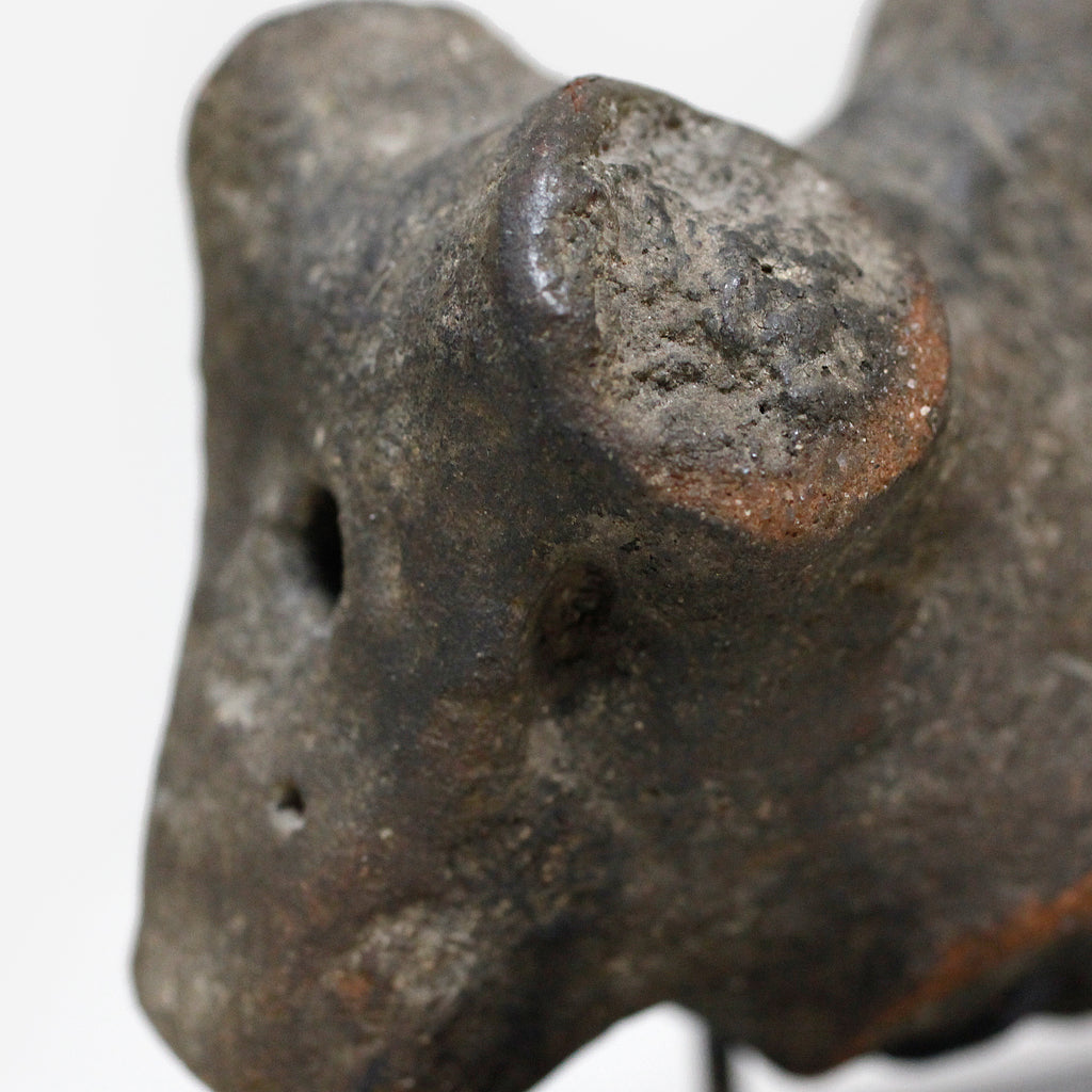 パレ　Zoomorphic Zigua　o_205
