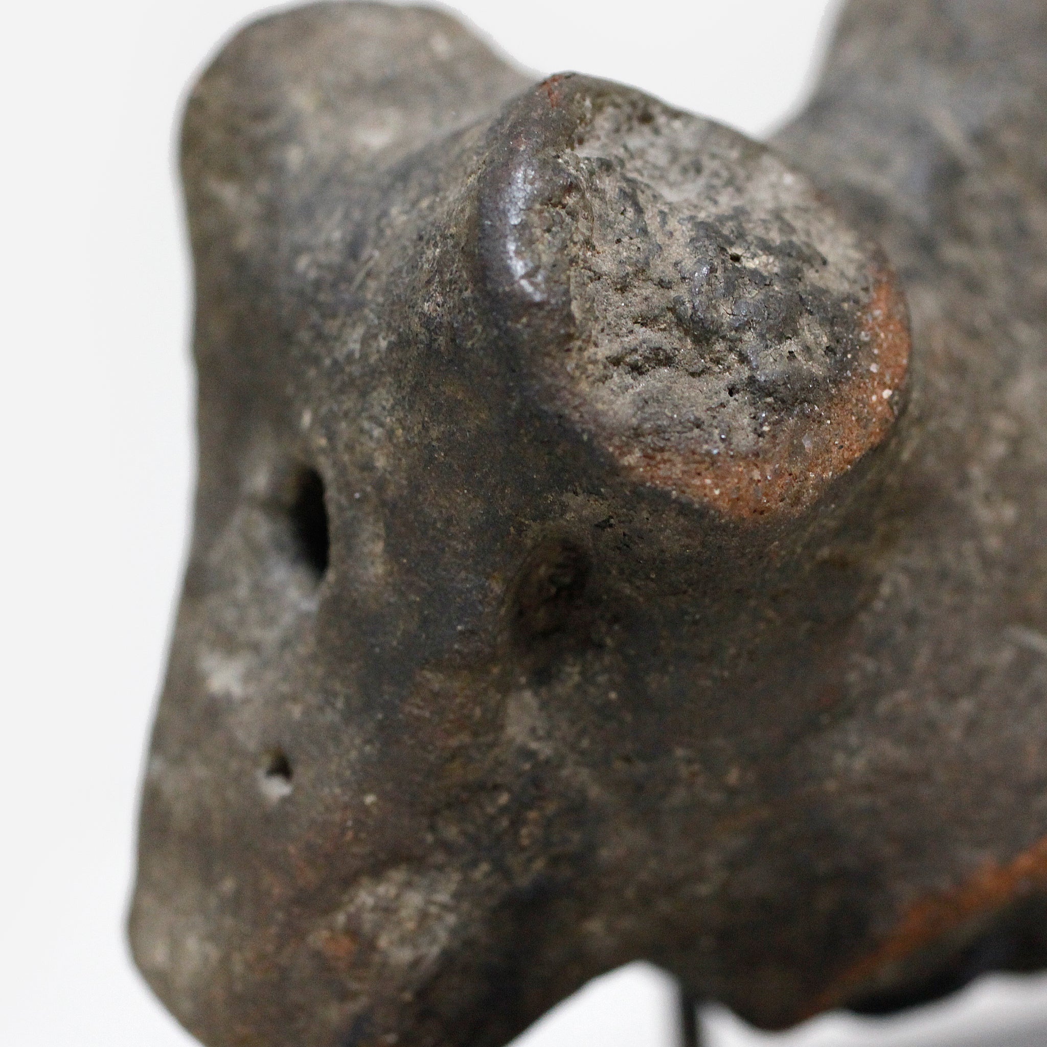 パレ　Zoomorphic Zigua　o_205