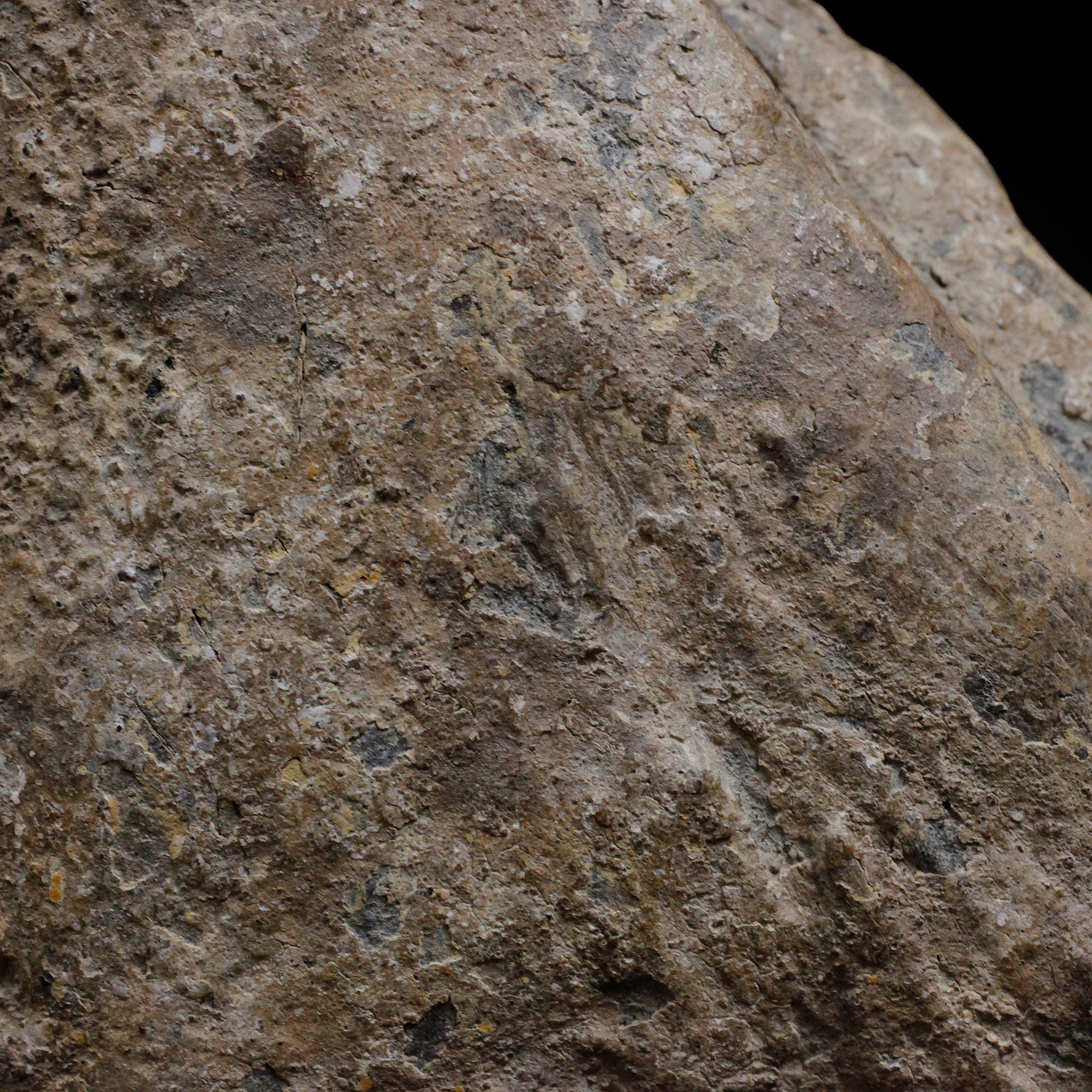 ロビ　祠の古像　f_130