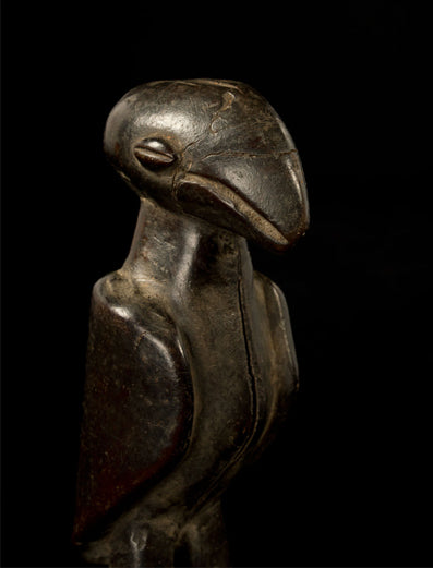 ホロ族　鳥人間になった守護像　f_051