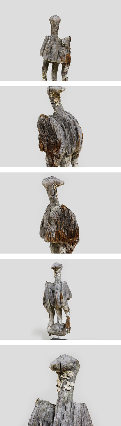 サカラヴァ族　3本足の鳥の墓標　f_122