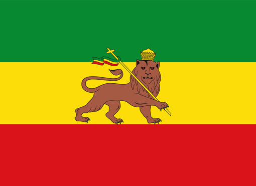 エチオピア　ユダのライオンが描かれたコップ　o_072